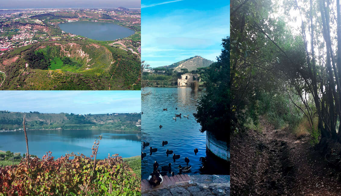Associazione Misenum - Il trekking dei Vulcani flegrei dal Montenuovo al lago d’Averno
