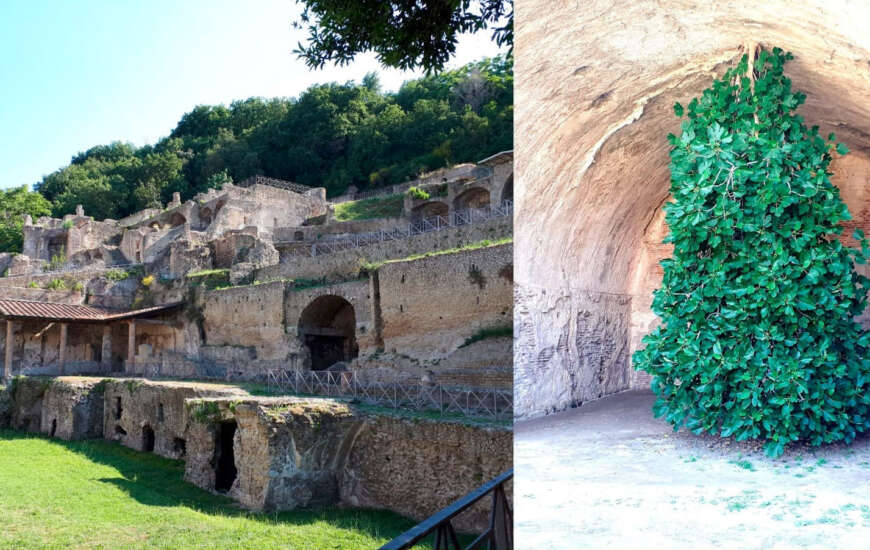 Associazione Misenum - La Baia dei poeti e degli imperatori: il parco archeologico delle Terme romane di Baia