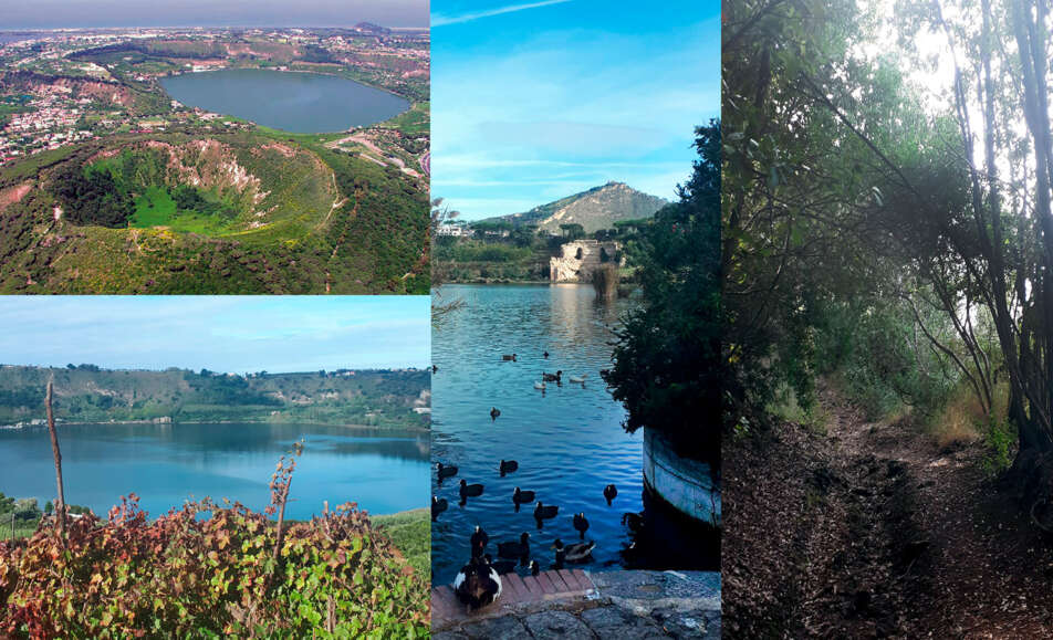 Associazione Misenum - Il trekking dei Vulcani flegrei dal Montenuovo al lago d’Averno